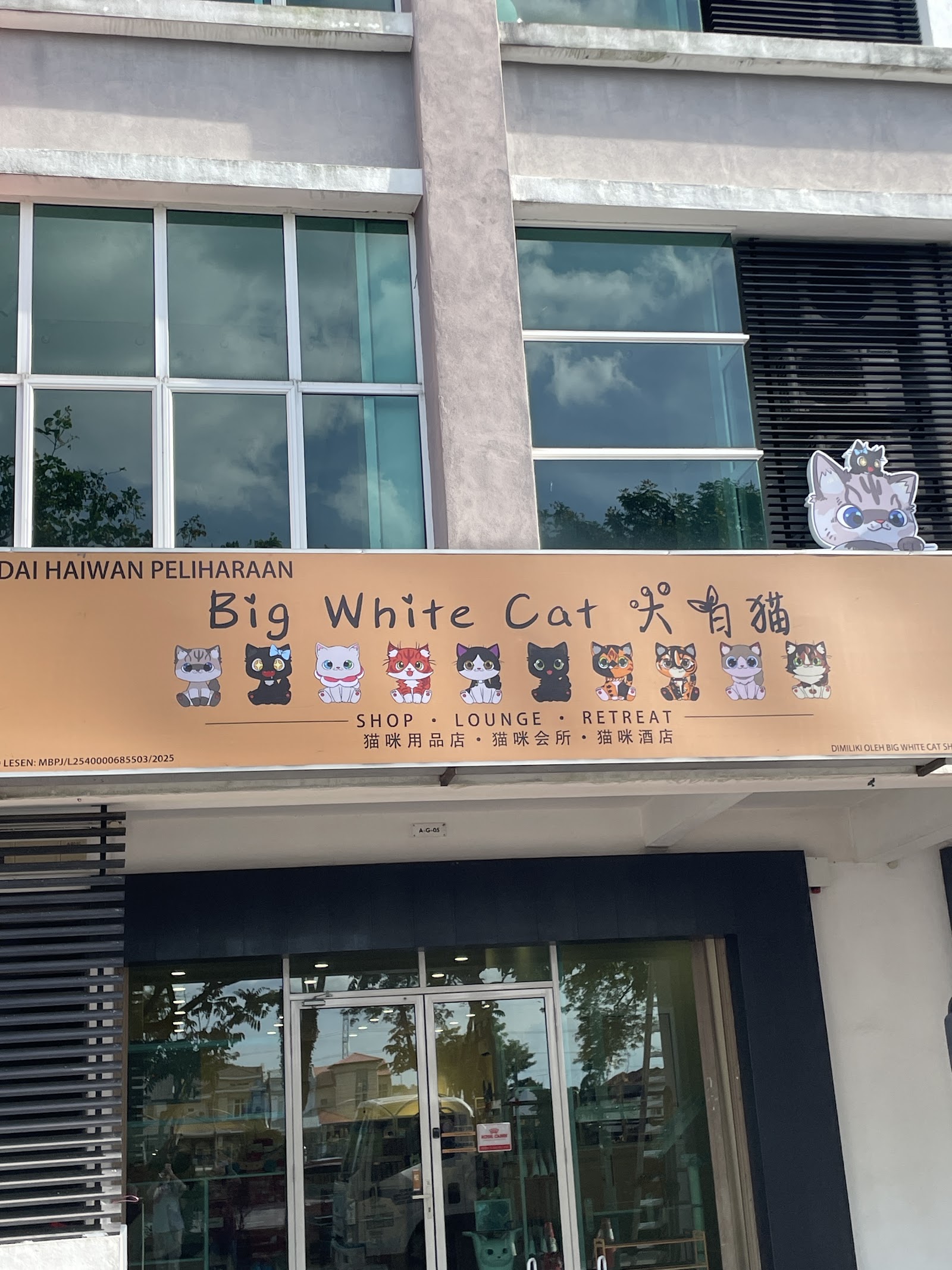 Big White Cat Shop 6