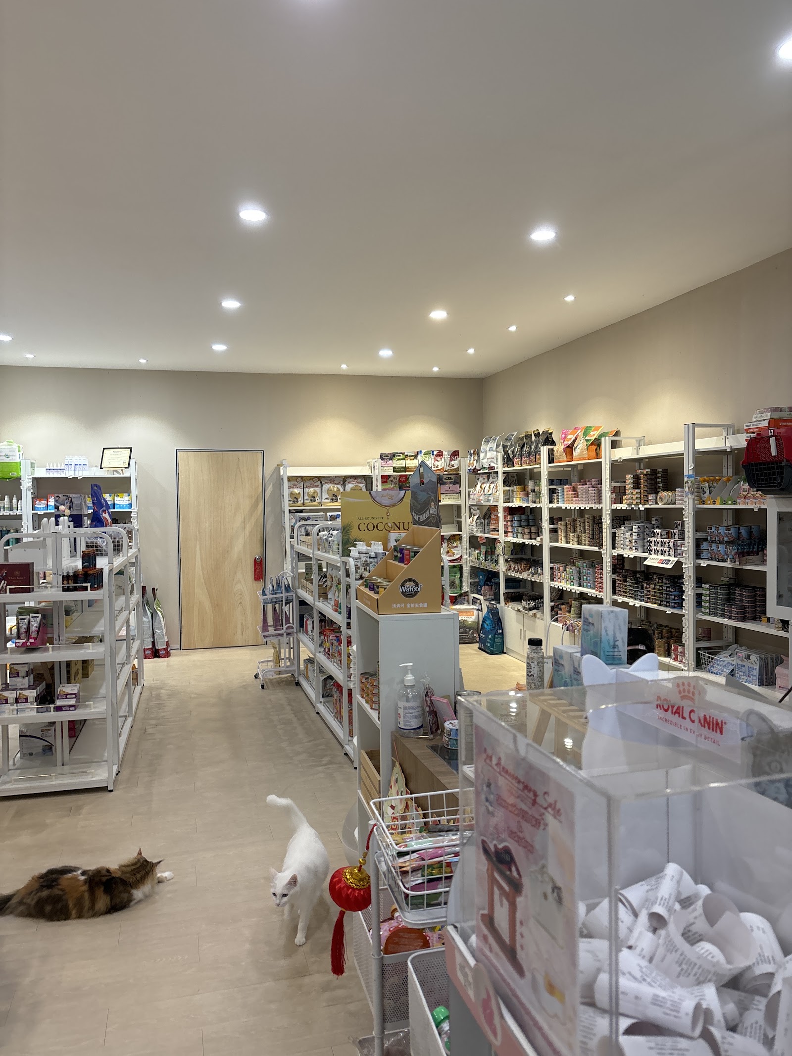 Big White Cat Shop 11